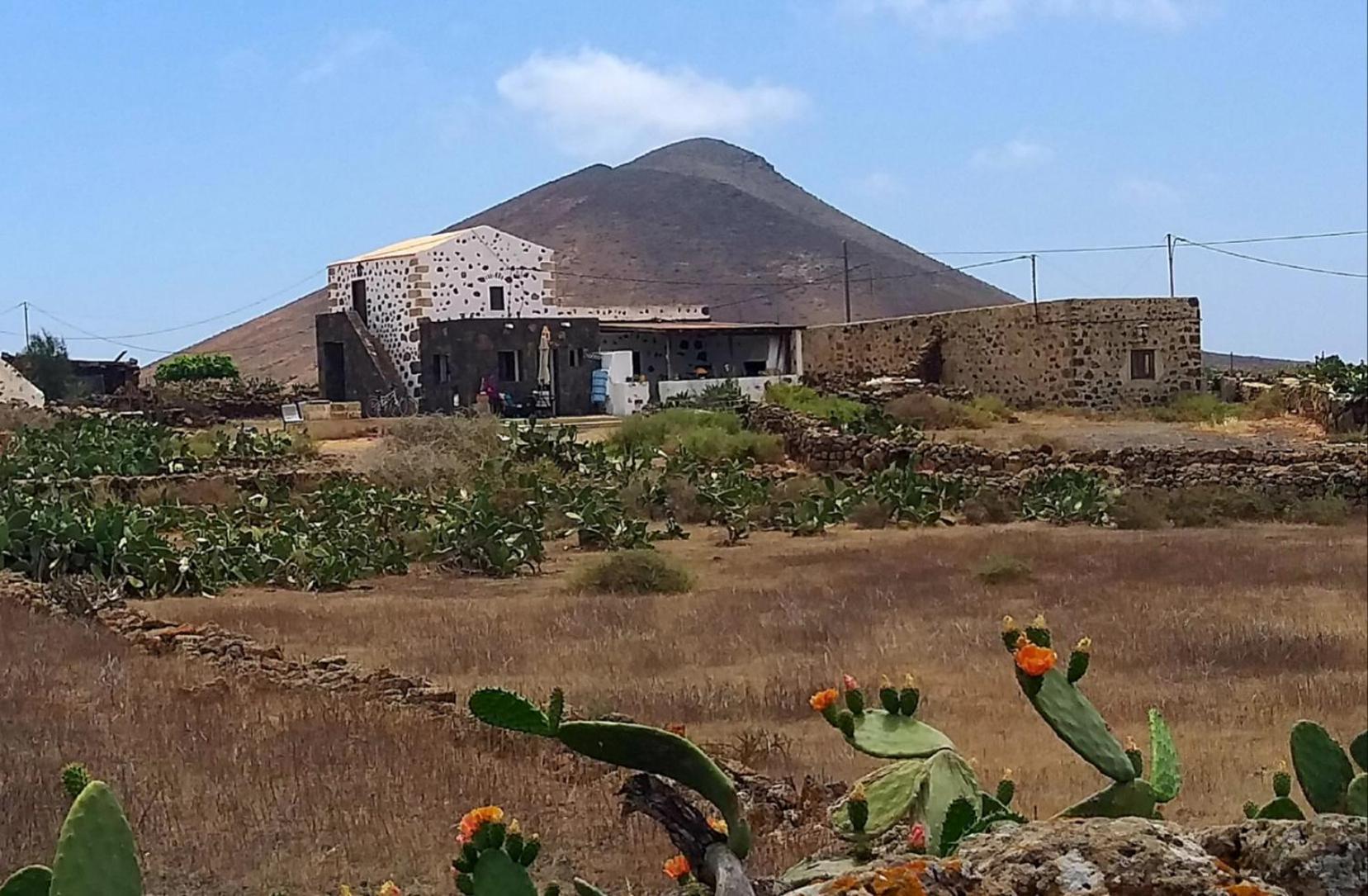 Lovely Cottage La Oliva Dış mekan fotoğraf